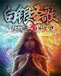 白银圣斗士百科