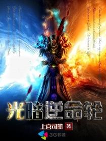 逆命为光