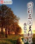 回到三国资源