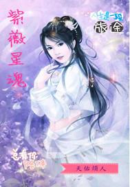 紫薇星详解