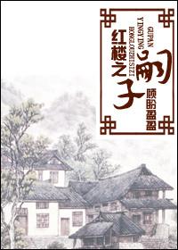 红楼之嗣子攻略最新章节更新时间列表