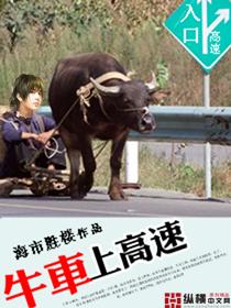高速上拉牛蒡收费嘛