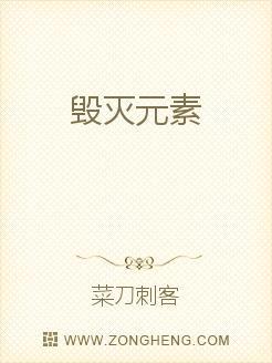 毁灭元素亚格斯