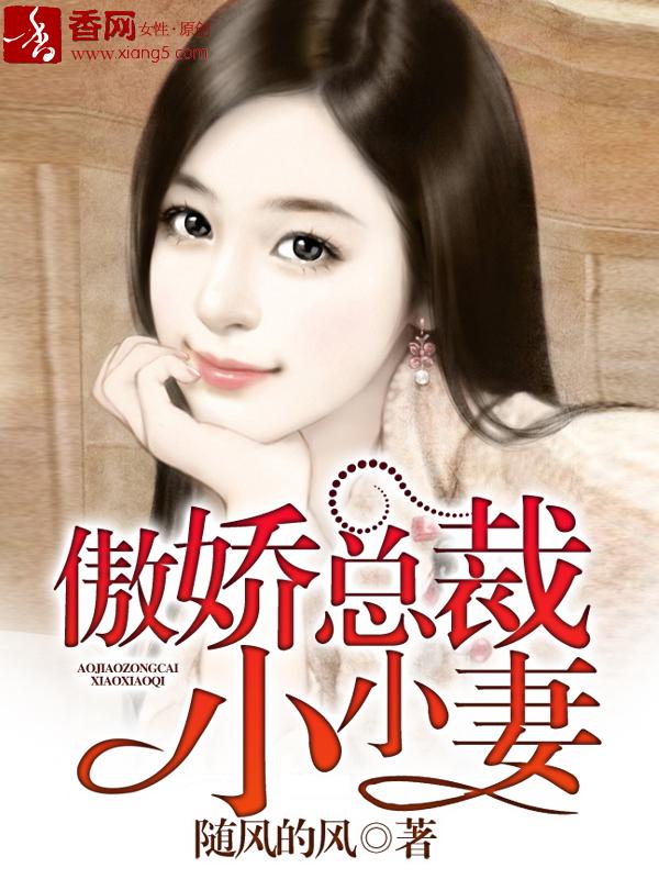 傲娇总裁小小妻 随风的风