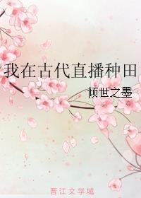 我在古代直播种田锦玉玉免费阅读