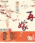 重生之再嫁太子