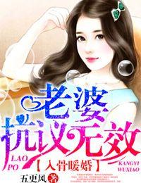 老婆抗议无效!-五更风