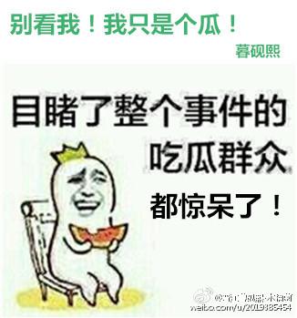 我只是个瓜