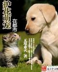 护花高手在都市TXT