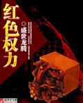 红色权力叶泽涛