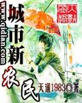 城市新农民全文TXT