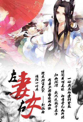 左妻右女电影百度