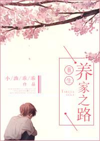 重生养家之路动漫