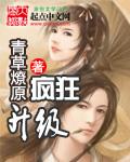 疯狂升级系统易天云免费阅读